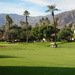 Thumbnail of Golf Course Photo
