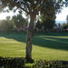 Thumbnail of Golf Course Photo